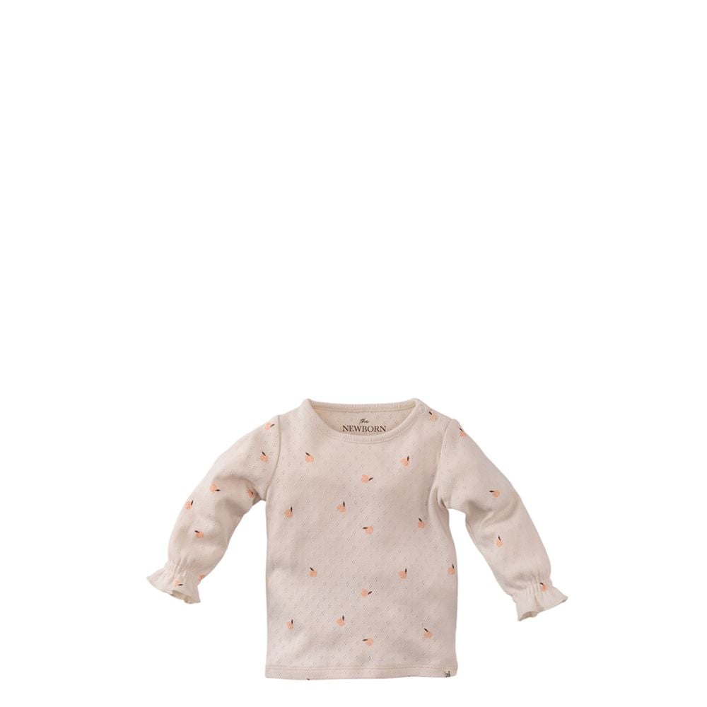 Z8    Eloisa Panna Cotta/Aop Preiswert